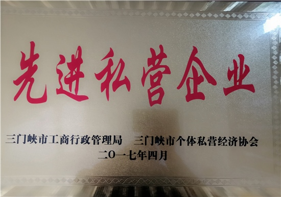 先进私营企业